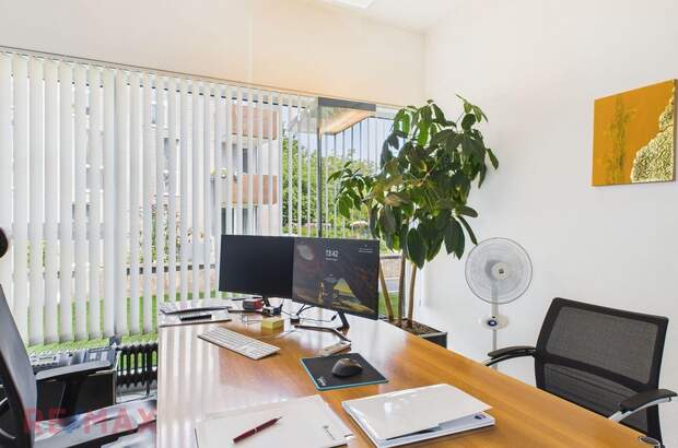 Gewerbeobjekt kaufen in 6890 Lustenau (Bild 3)