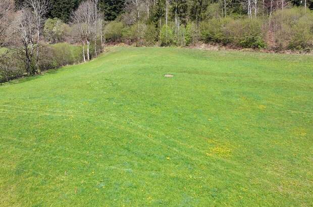 Grundstück kaufen in 6306 Söll (Bild 5)