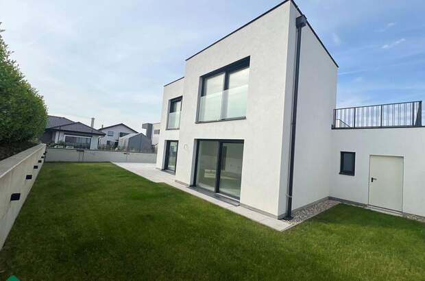 Haus kaufen in 2221 Groß (Bild 4)