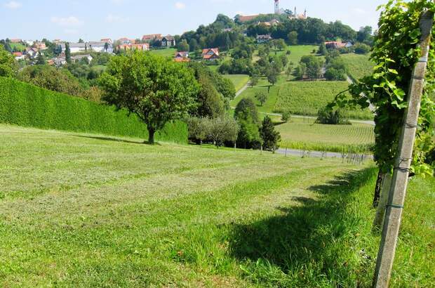 Grundstück kaufen in 8345 Straden (Bild 2)