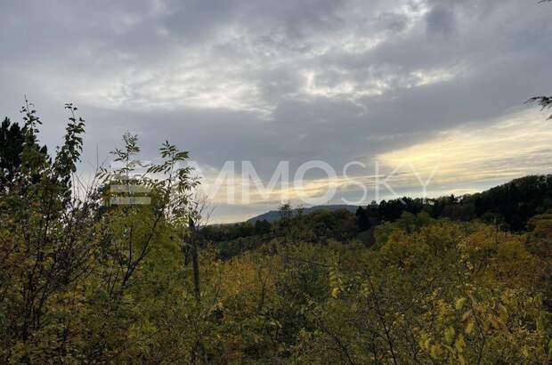 Grundstück kaufen in 2103 Langenzersdorf (Bild 1)