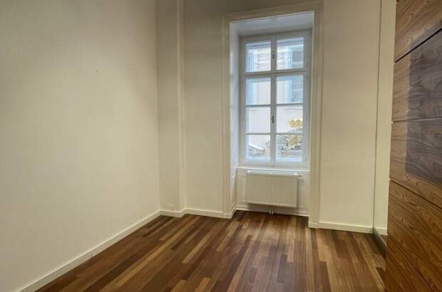 Gewerbeobjekt mieten in 1010 Wien (Bild 3)