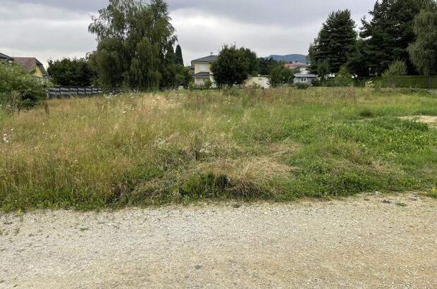 Grundstück kaufen in 8241 Dechantskirchen (Bild 3)