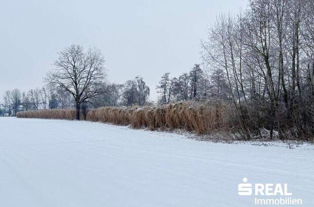 Grundstück kaufen in 5280 Braunau (Bild 2)