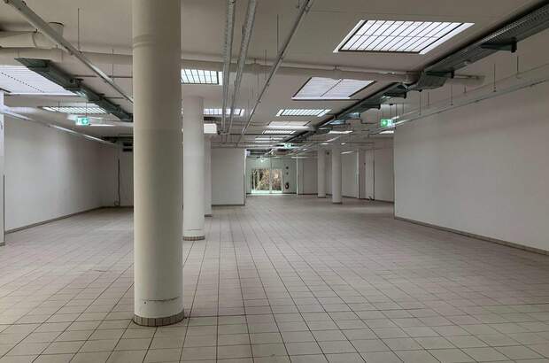 Gewerbeobjekt mieten in 1210 Wien (Bild 4)