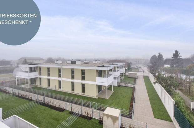 Anlageobjekt kaufen in 2540 Bad Vöslau (Bild 1)