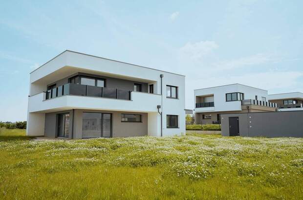 Haus kaufen in 4493 Wolfern