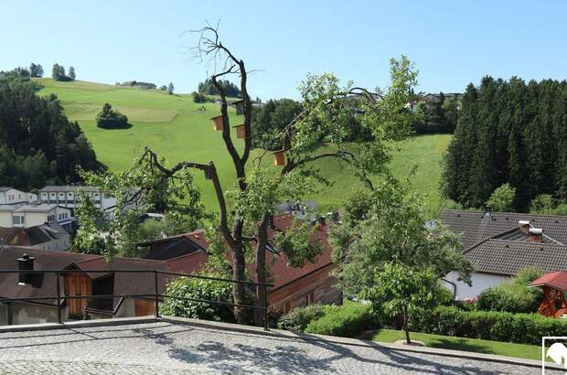 Haus kaufen in 4280 Königswiesen (Bild 4)