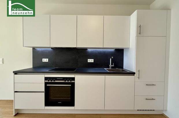 Terrassenwohnung mieten in 1100 Wien (Bild 2)