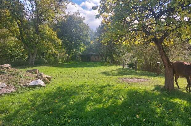 Bauernhaus kaufen in 3653 Weiten (Bild 1)