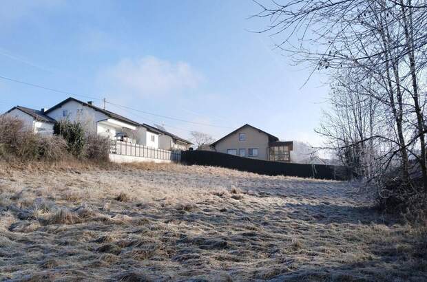 Grundstück kaufen in 4073 Wilhering (Bild 2)