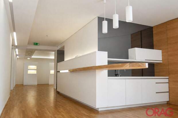 Gewerbeobjekt mieten in 1010 Wien (Bild 2)