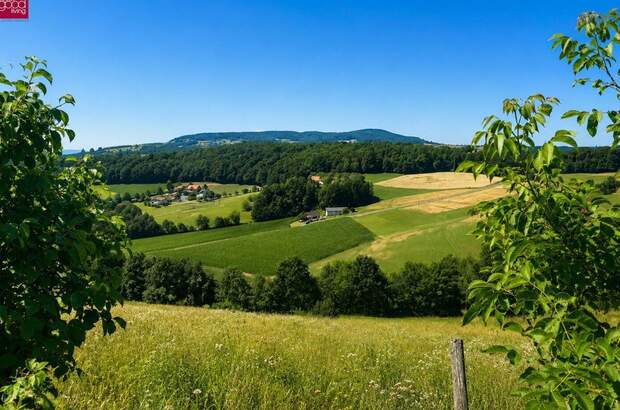 Grundstück kaufen in 8353 Kapfenstein (Bild 2)