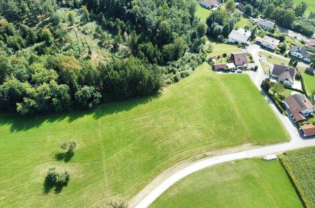 Grundstück kaufen in 4785 Freinberg (Bild 1)