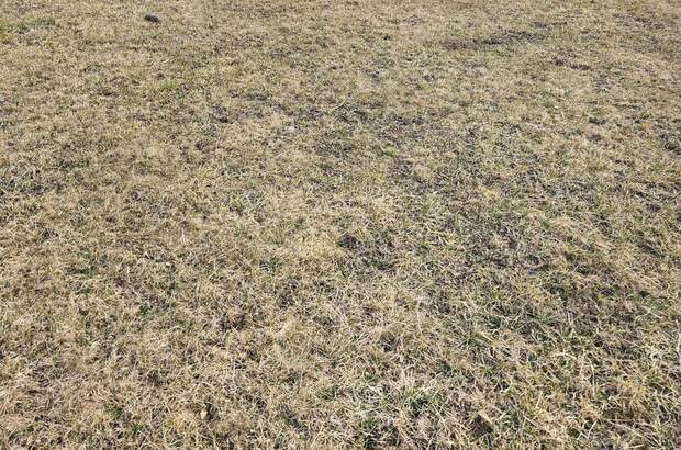 Grundstück kaufen in 8114 Großstübing