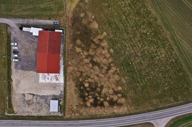 Gewerbeobjekt kaufen in 4692 Oberau