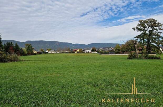 Grundstück kaufen in 2722 Weikersdorf (Bild 3)