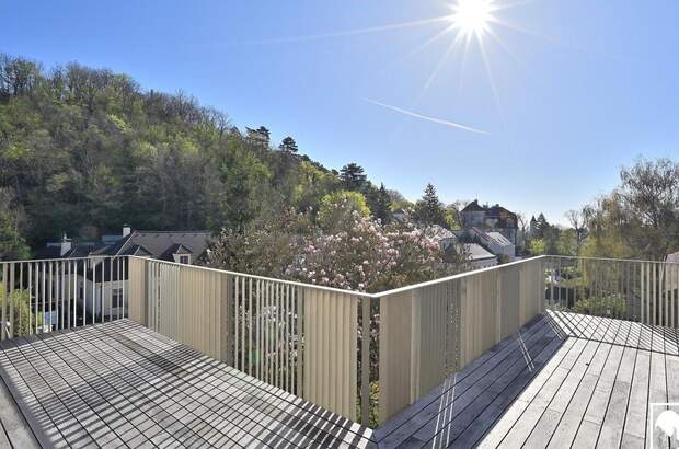 Wohnung mit Balkon kaufen in 1190 Wien (Bild 3)