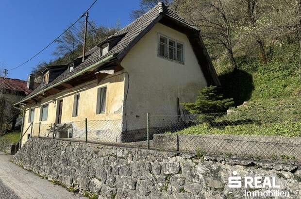 Haus kaufen in 4460 Losenstein (Bild 1)