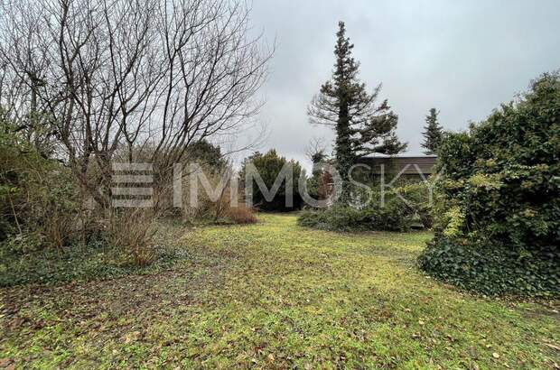 Einfamilienhaus kaufen in 1230 Wien (Bild 5)