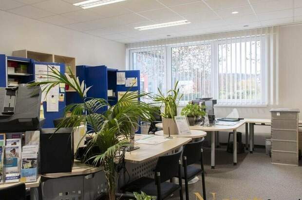 Gewerbeobjekt mieten in 4840 Vöcklabruck (Bild 3)