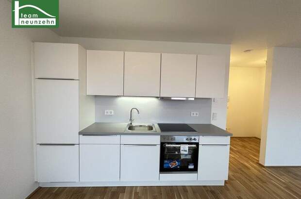 Terrassenwohnung mieten in 1160 Wien (Bild 2)