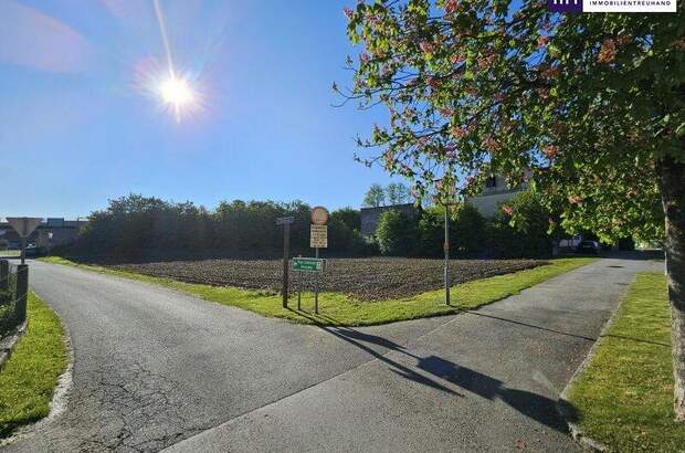 Grundstück kaufen in 8510 Stainz (Bild 4)