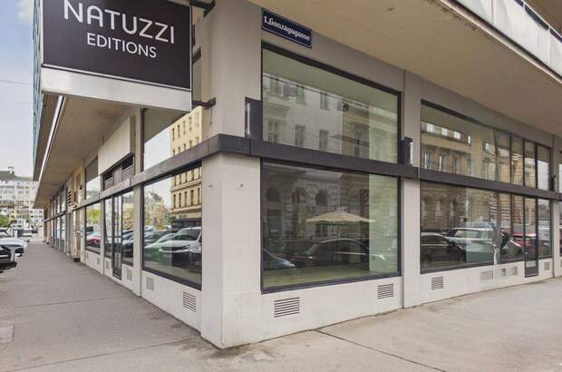 Gewerbeobjekt mieten in 1010 Wien (Bild 1)