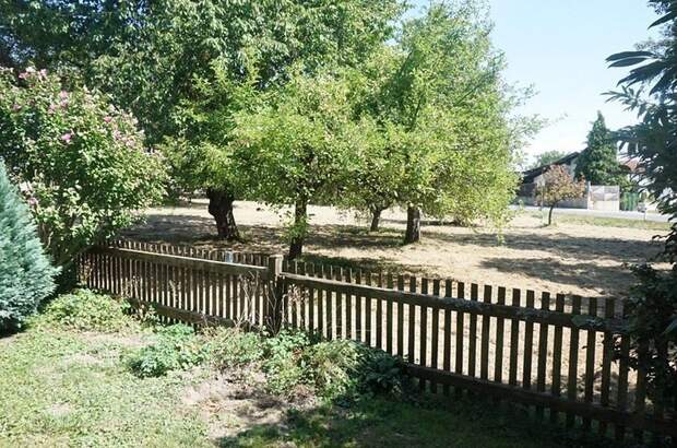 Gewerbeobjekt kaufen in 4912 Neuhofen (Bild 1)