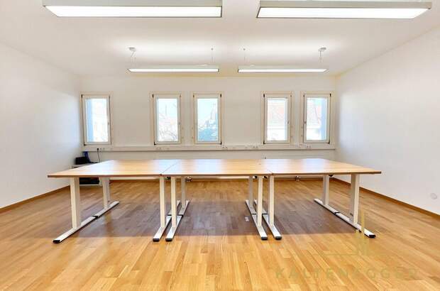 Gewerbeobjekt mieten in 1140 Wien (Bild 2)