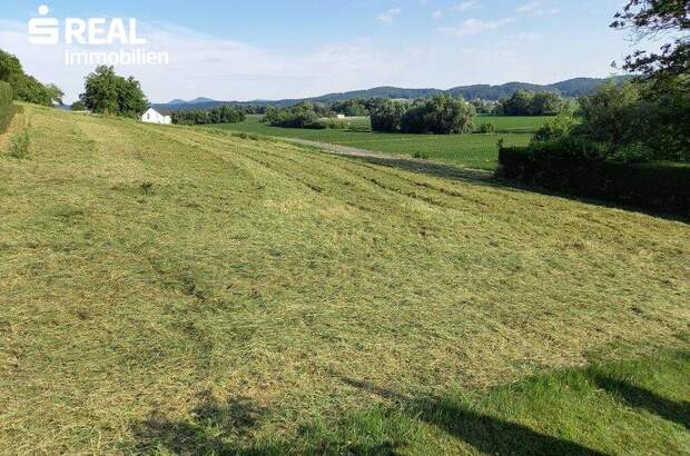 Grundstück kaufen in 8332 Edelsbach (Bild 1)