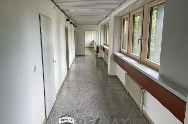 Gewerbeobjekt mieten in 3430 Tulln (Bild 4)