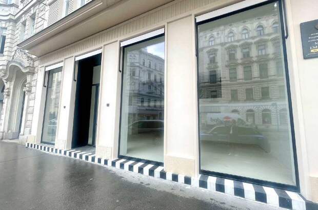 Gewerbeobjekt mieten in 1090 Wien (Bild 4)