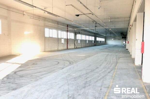 Lager mieten in 4614 Marchtrenk (Bild 3)