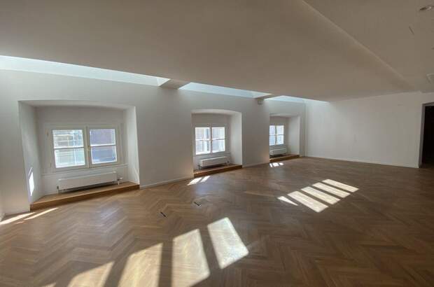 Gewerbeobjekt mieten in 1010 Wien (Bild 4)