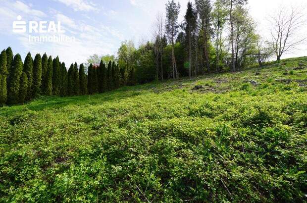 Grundstück kaufen in 3033 Altlengbach (Bild 2)