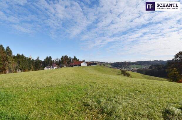 Grundstück kaufen in 8503 St. Josef (Bild 4)