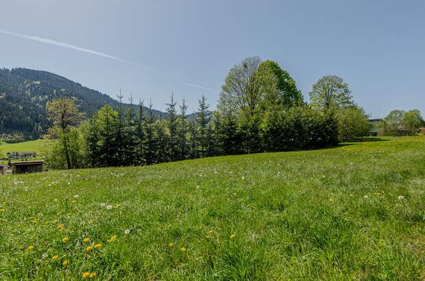 Grundstück kaufen in 6353 Going (Bild 4)