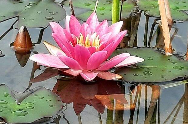 Beherbergungsbetrieb kaufen in 9620 Hermagor (Bild 1)