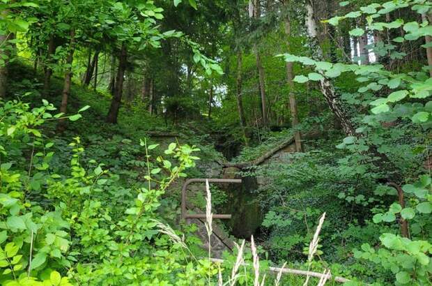 Grundstück kaufen in 3160 Traisen (Bild 4)