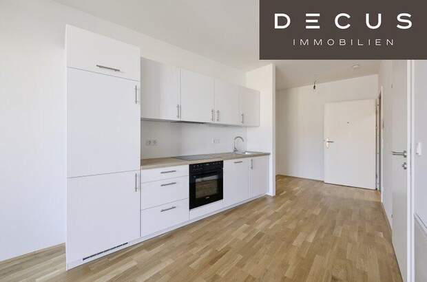 Terrassenwohnung mieten in 2345 Brunn (Bild 5)