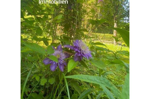 Haus kaufen in 9220 Velden (Bild 4)