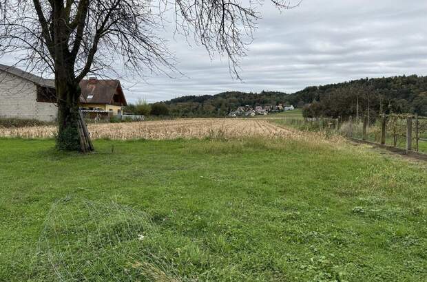 Haus mit Garten kaufen in 8072 Fernitz (Bild 5)