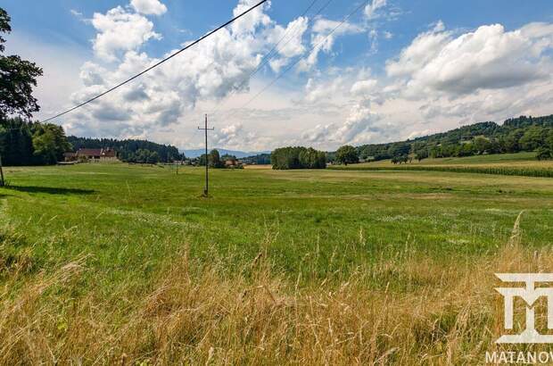 Gewerbeobjekt kaufen in 9062 Tigring (Bild 3)