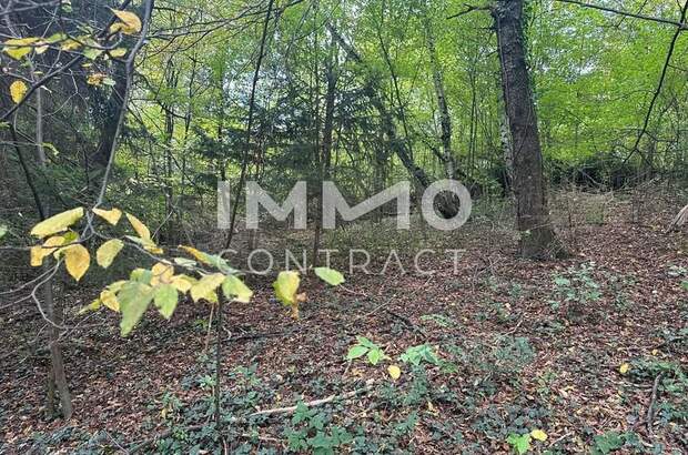 Grundstück kaufen in 3021 Pressbaum