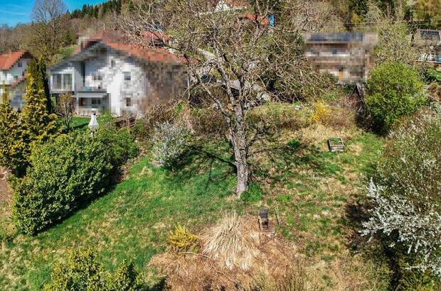 Grundstück kaufen in 9072 Ludmannsdorf (Bild 5)