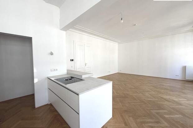 Terrassenwohnung mieten in 1010 Wien (Bild 3)