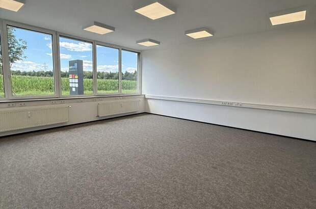 Gewerbeobjekt mieten in 8200 Gleisdorf (Bild 5)