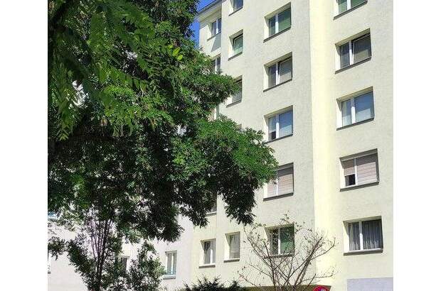 Wohnung mieten in 1200 Wien (Bild 2)