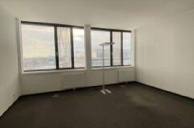 Gewerbeobjekt mieten in 1230 Wien (Bild 3)